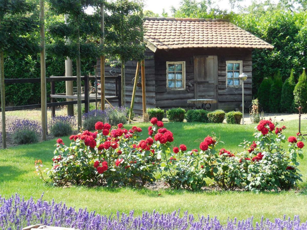 B & B " De 7 Sprong " Sevenum Bagian luar foto