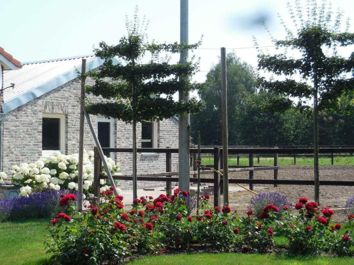 B & B " De 7 Sprong " Sevenum Bagian luar foto
