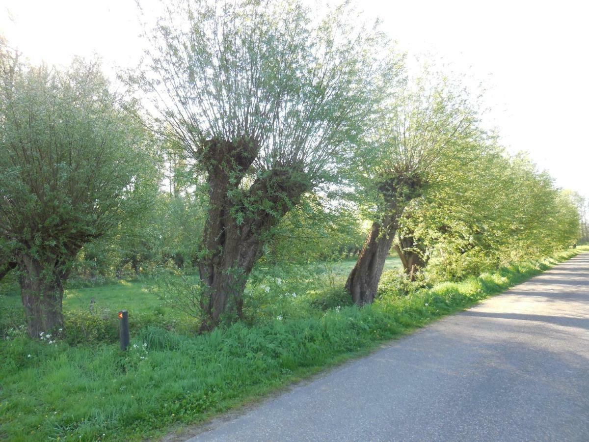 B & B " De 7 Sprong " Sevenum Bagian luar foto