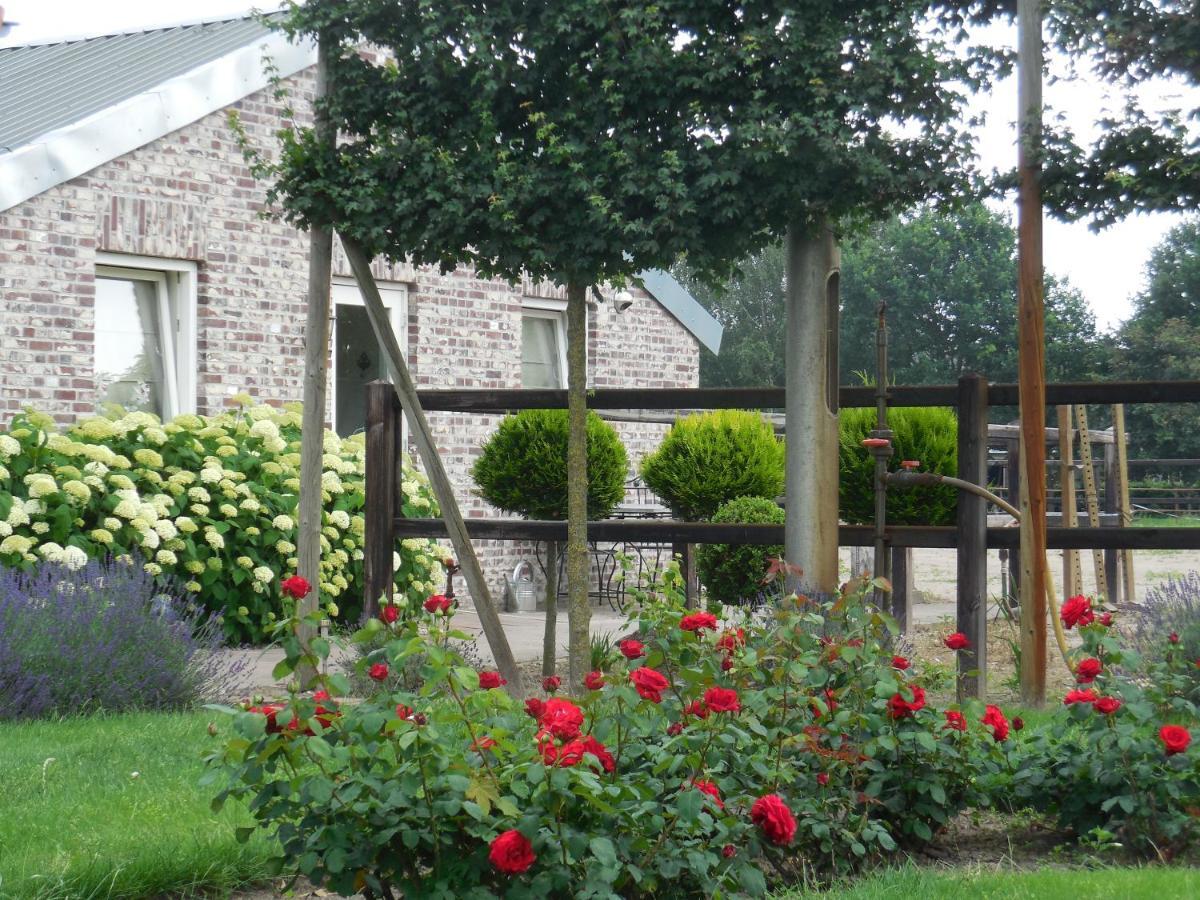 B & B " De 7 Sprong " Sevenum Bagian luar foto